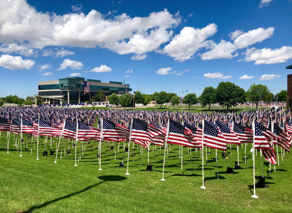 healing fields prescott valley