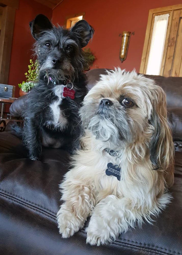 Annie and Gordon