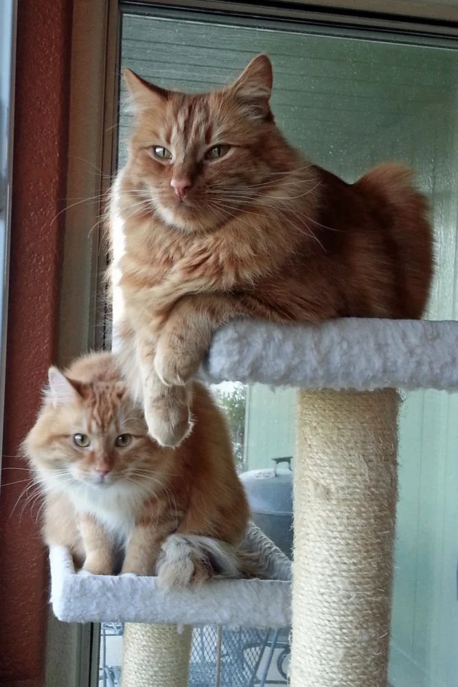 Baxter and Breezy