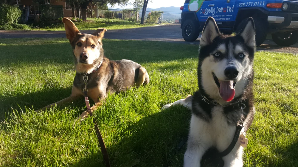 Brody and Mia